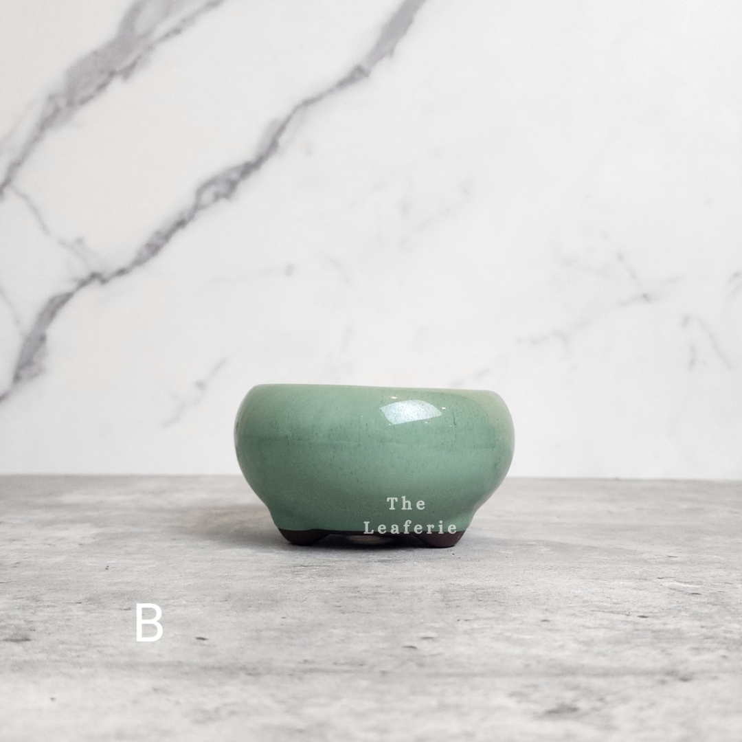 Bonsai Flowerpot (Series 25)