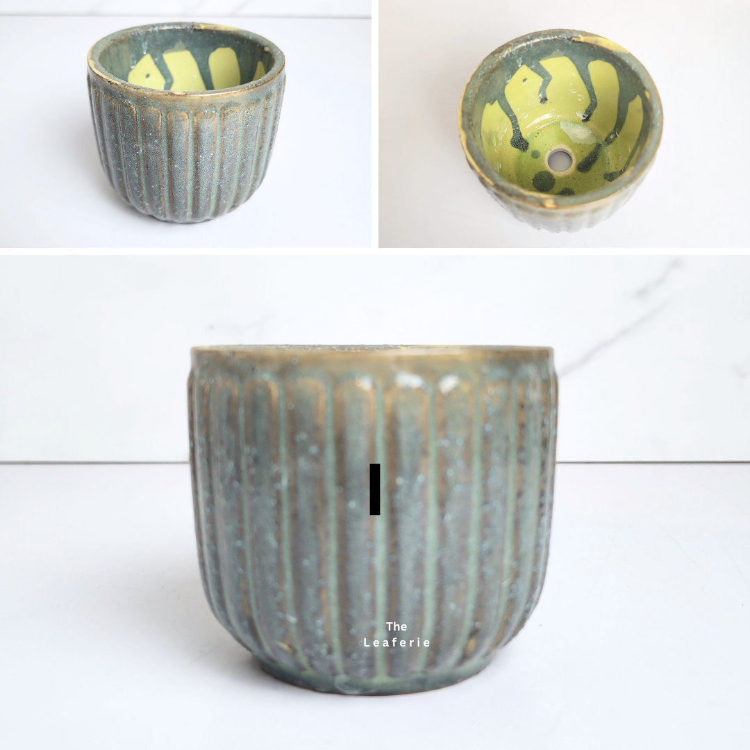 Petit Flowerpots (Series 15)