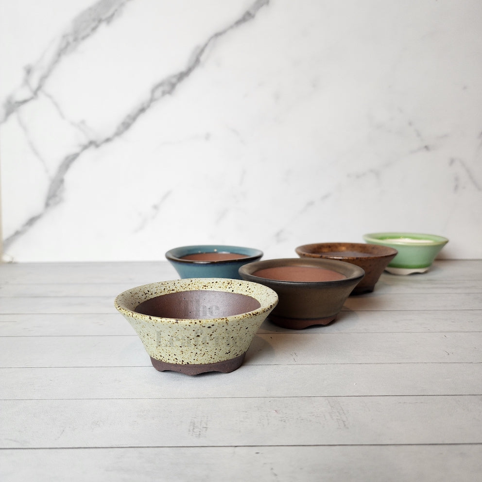 Petit Bonsai Pot (Series 12)