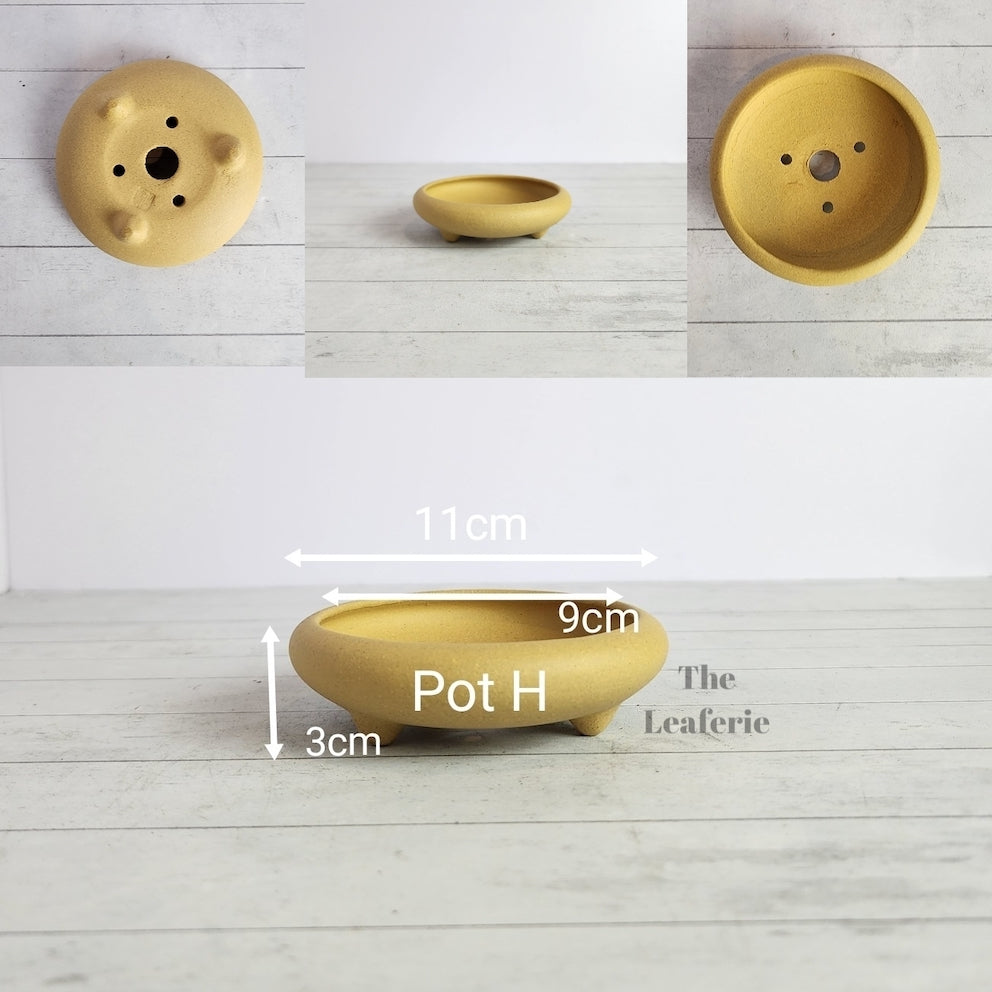 Petit Bonsai Tray / flowerpot (Series 4)