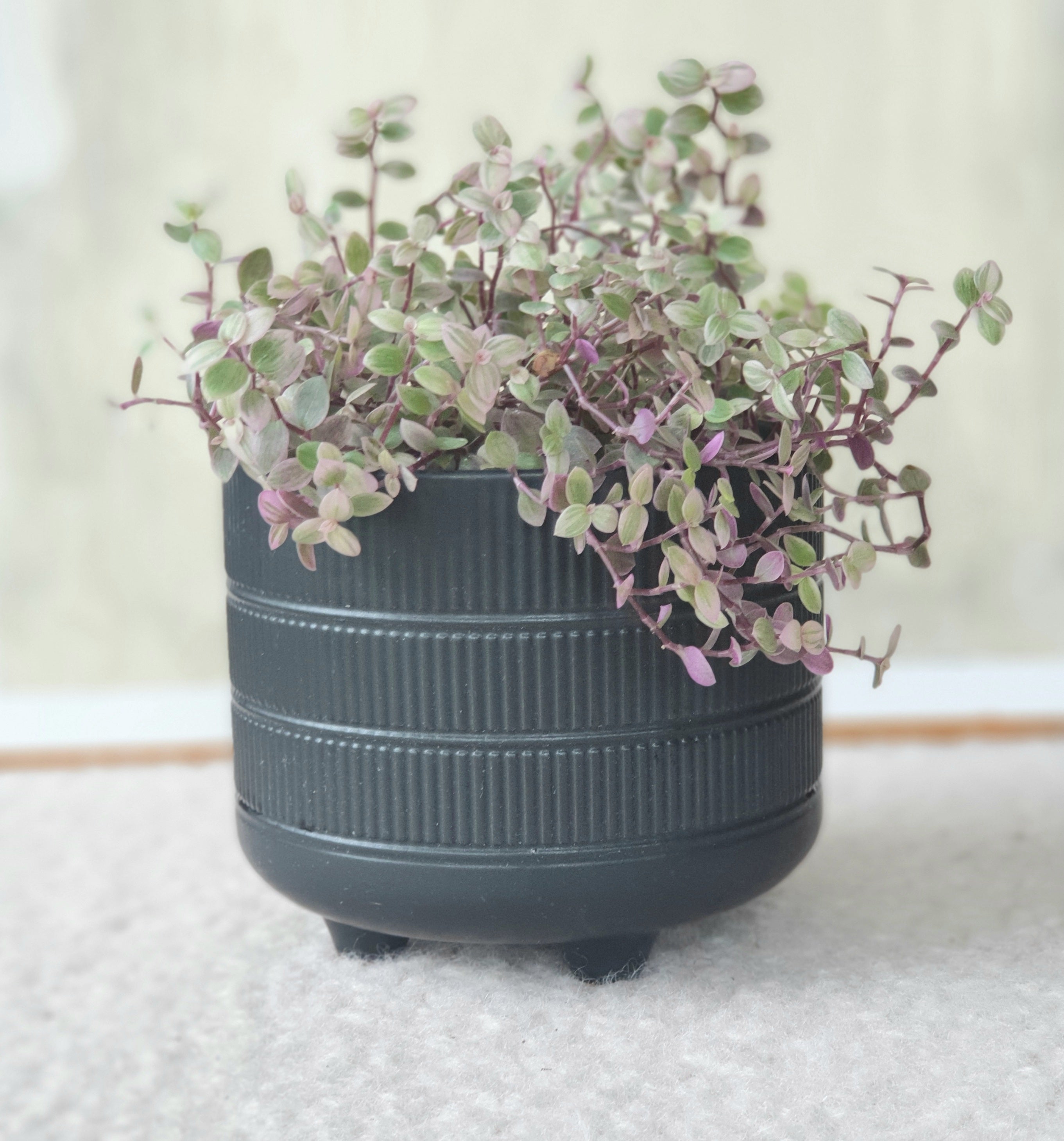 Stripes Flowerpot