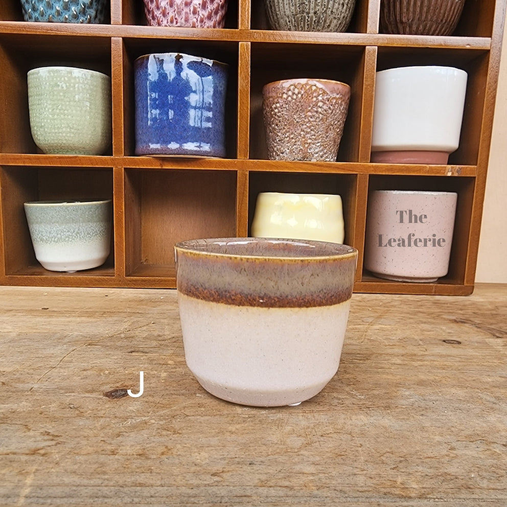 Petit Flowerpots (Series 8)