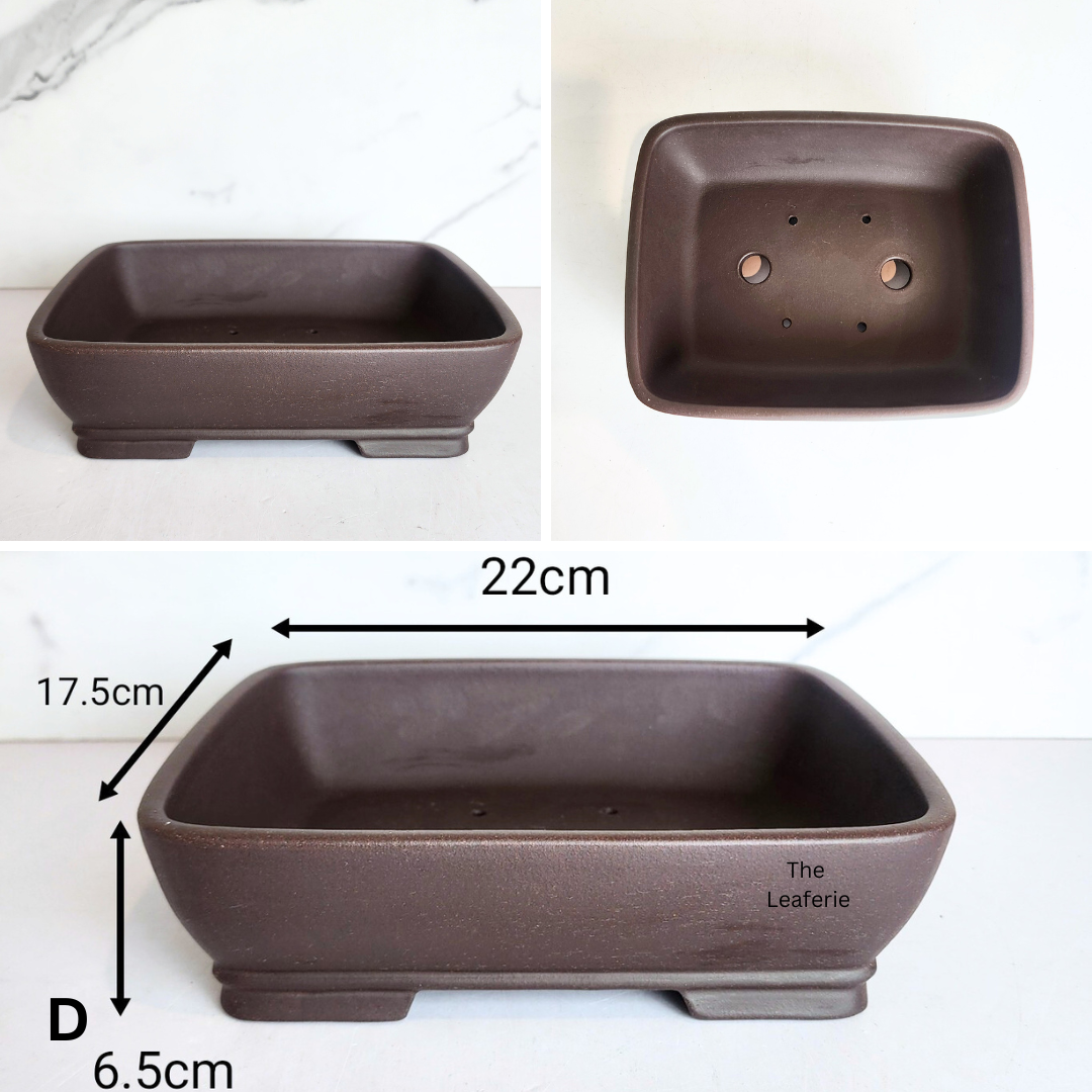 Bonsai Flowerpot (Series 72)