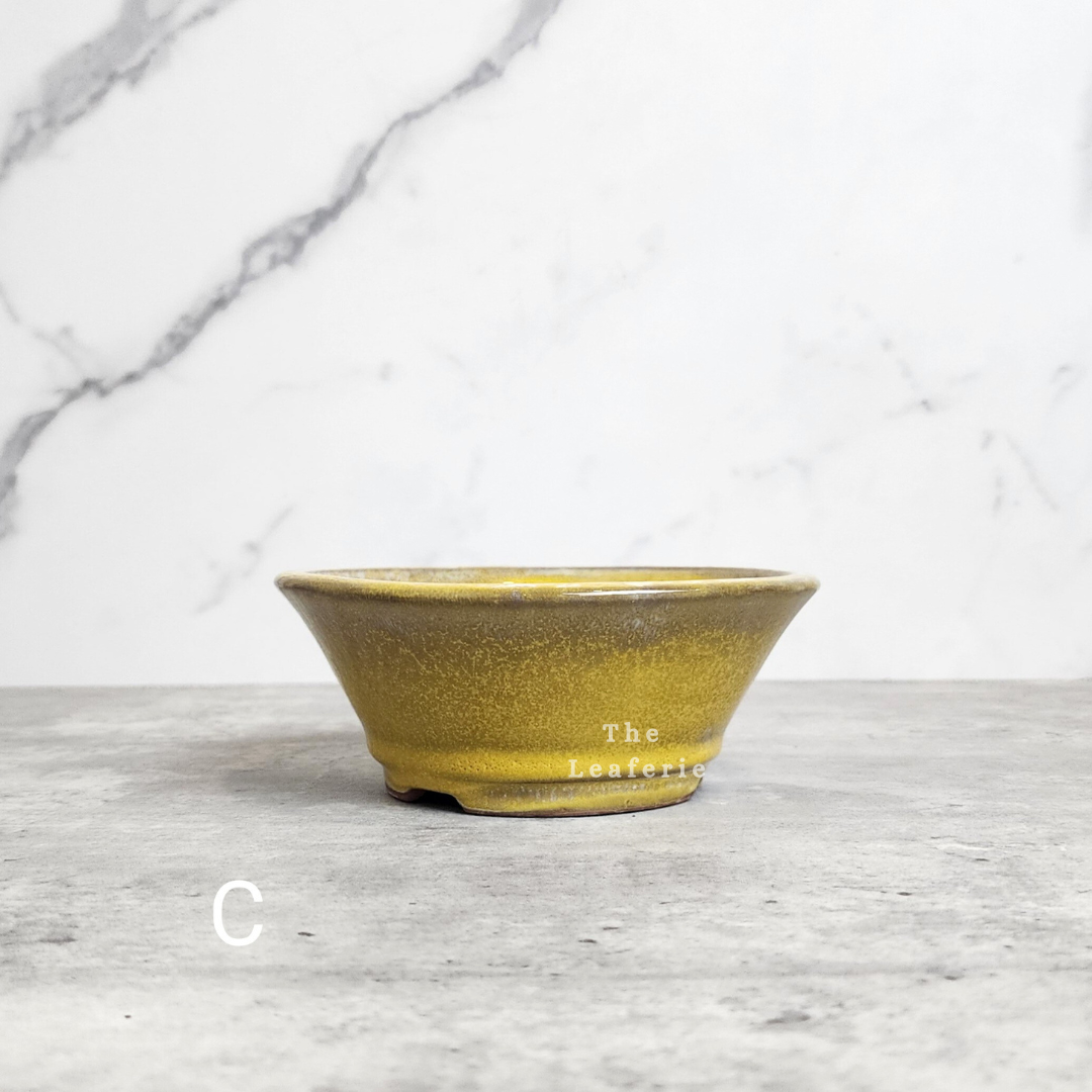 Bonsai Flowerpots (Series 23)