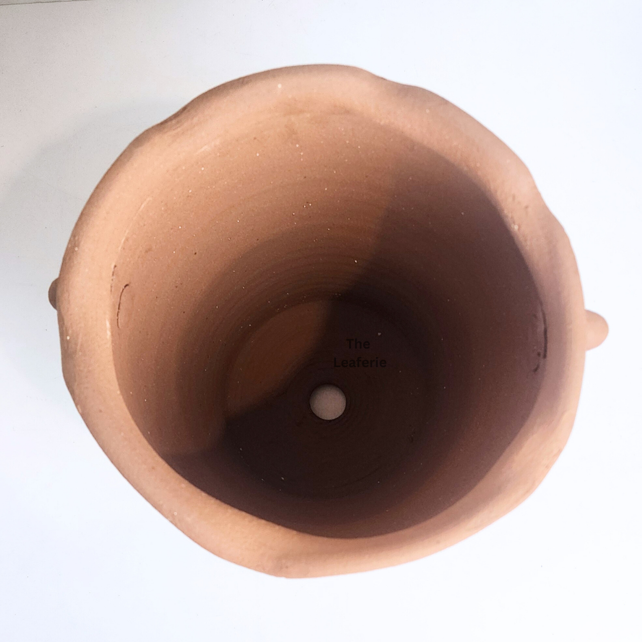 Yucca Tall Terracotta Flowerpot