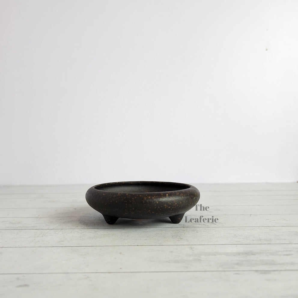 Petit Bonsai Tray / flowerpot (Series 4)