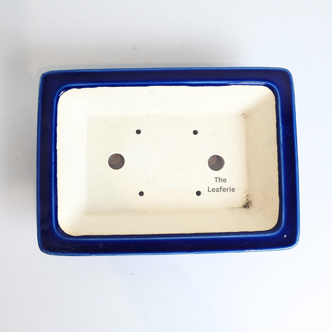 Bonsai Tally (Series 8) Rectangular Flowerpot