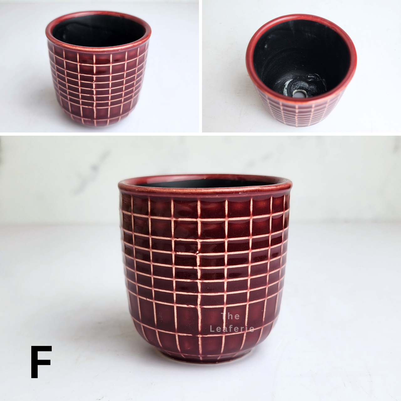 Petit Flowerpots (Series 18)