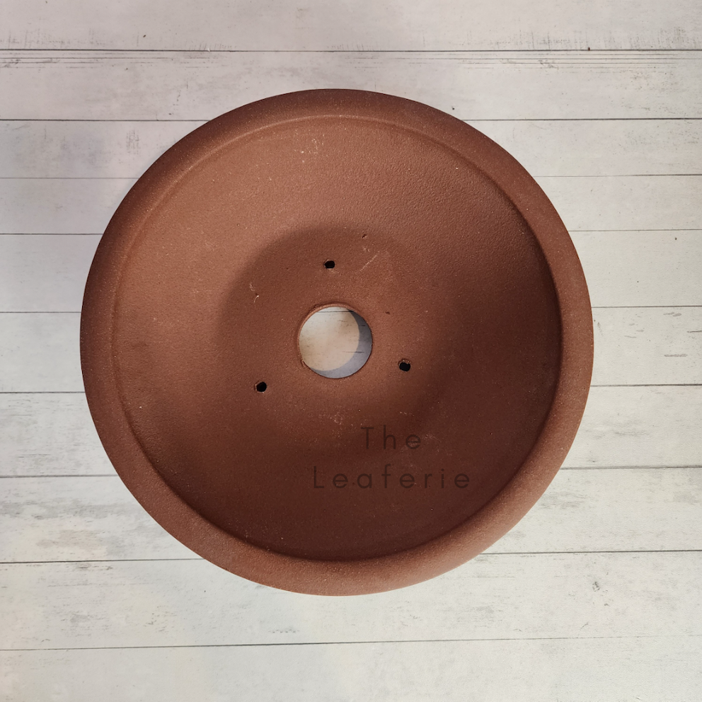 Bonsai Flowerpot / Tray (Series 5) 5 Sizes