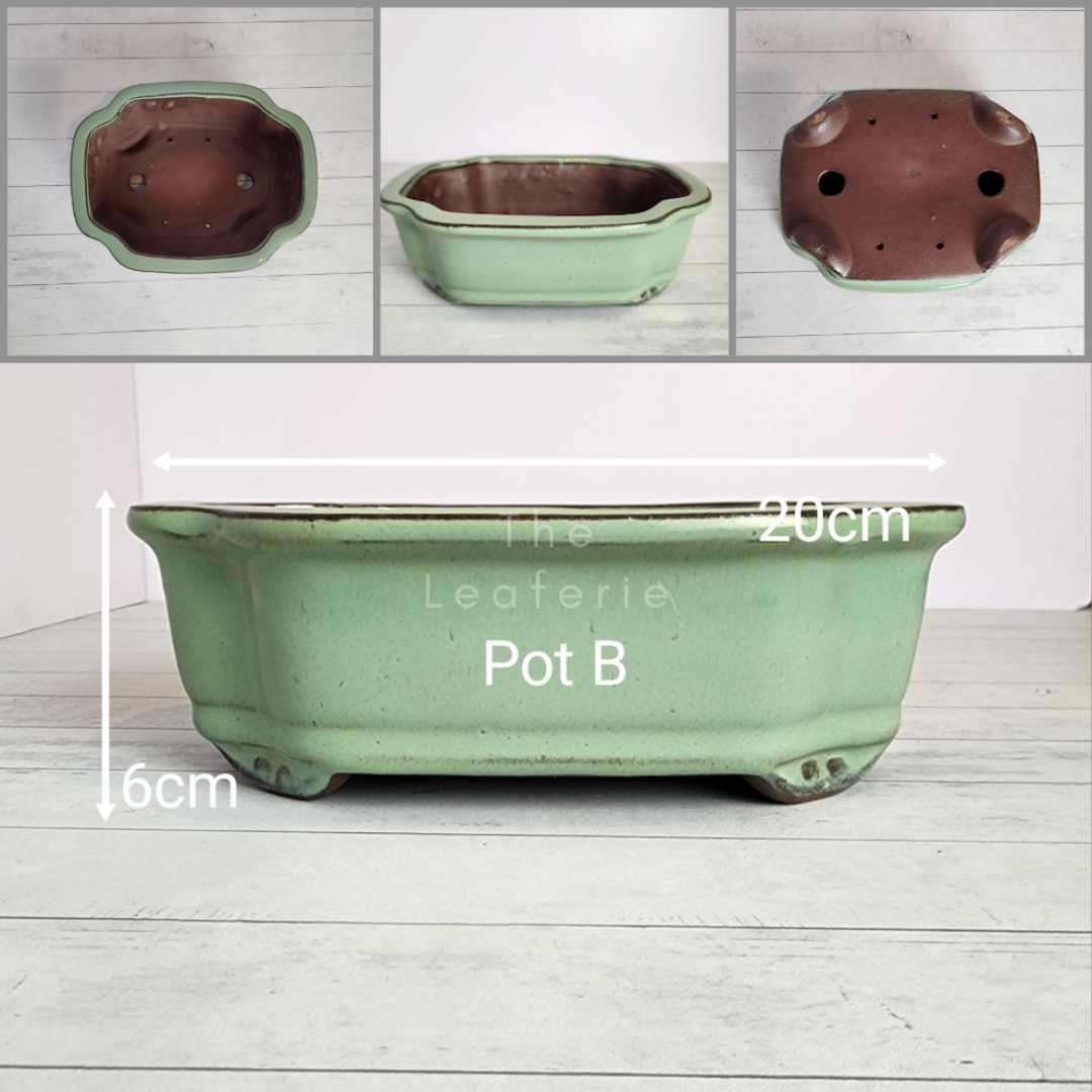 Tally Bonsai Flowerpot (Series 1)