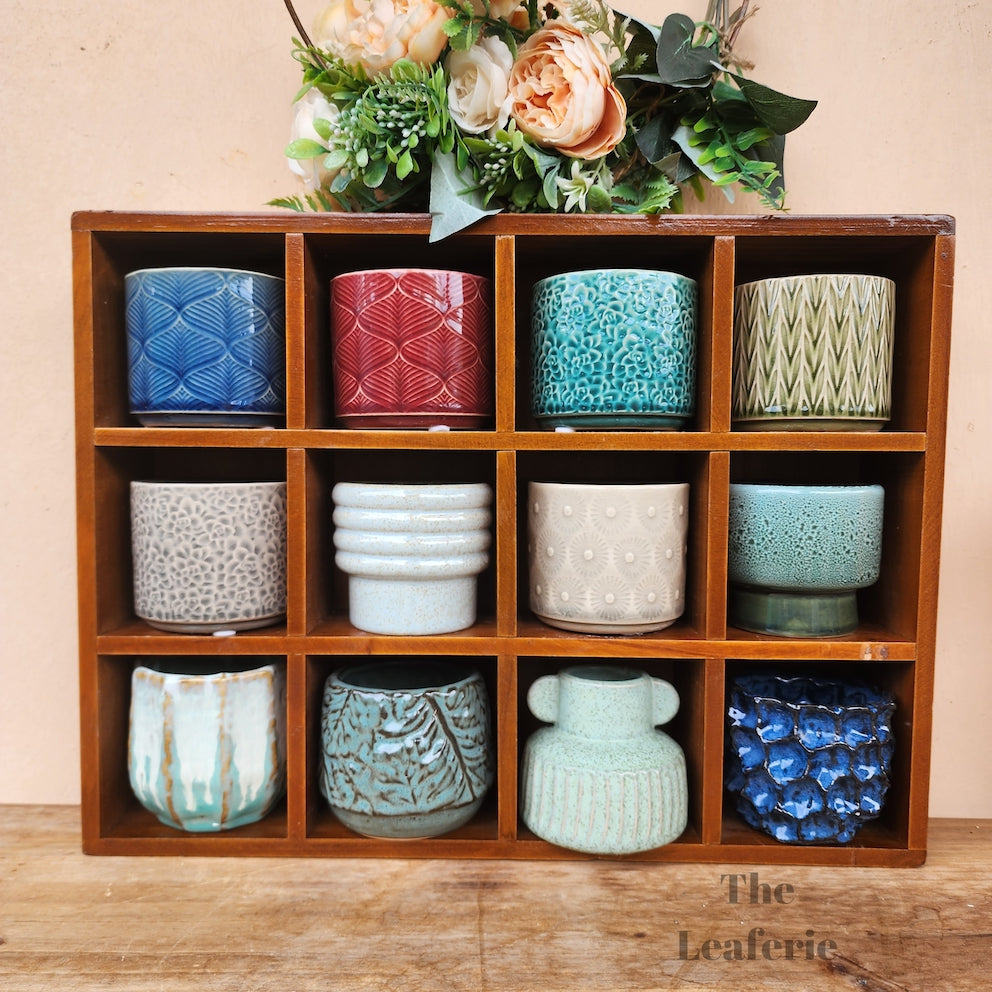 Petit Flowerpots (Series 9)