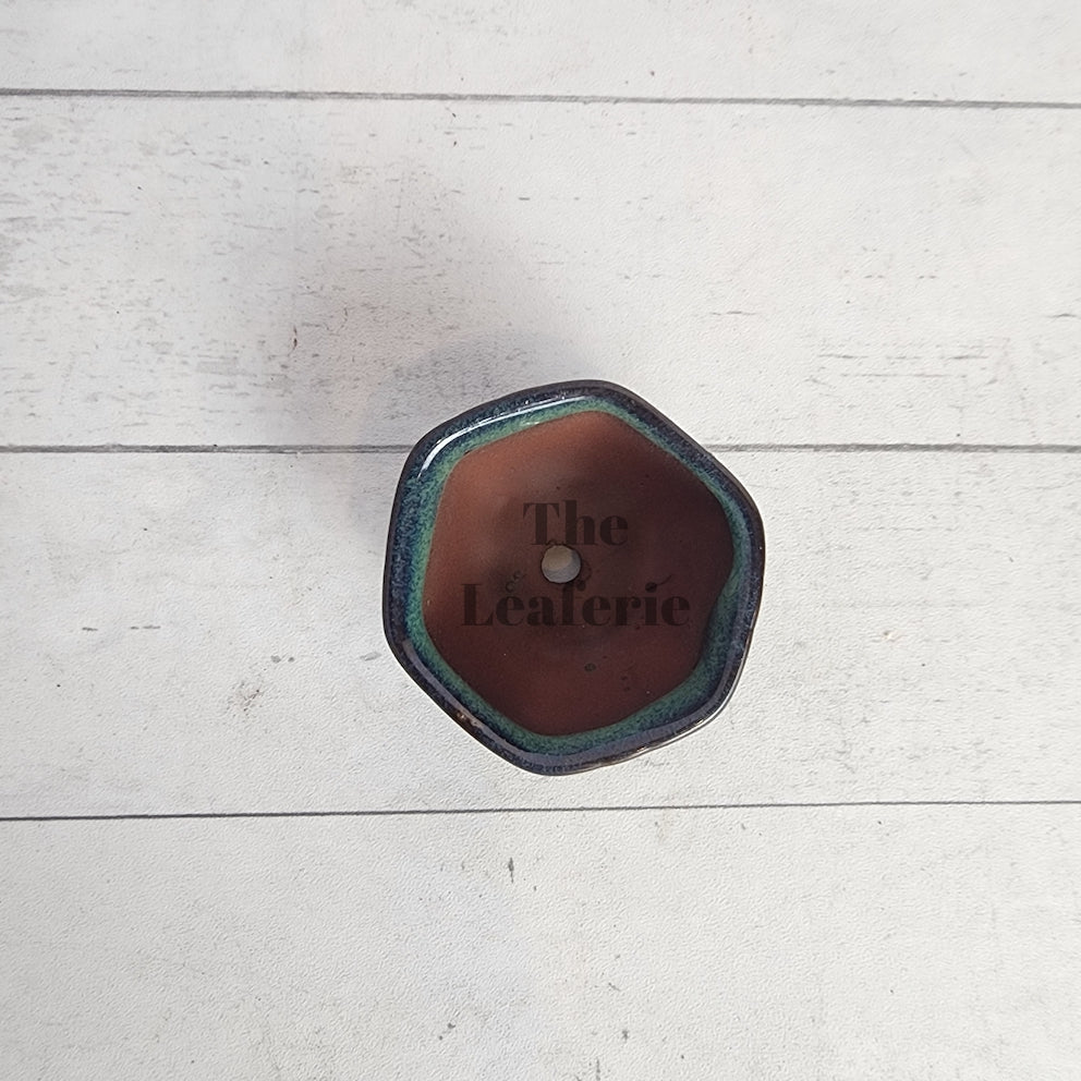 Petit Bonsai Pot (Series 16) Hexagon shape