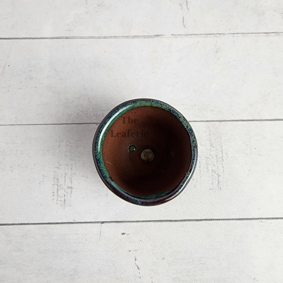 Petit Bonsai Pot (Series 18)
