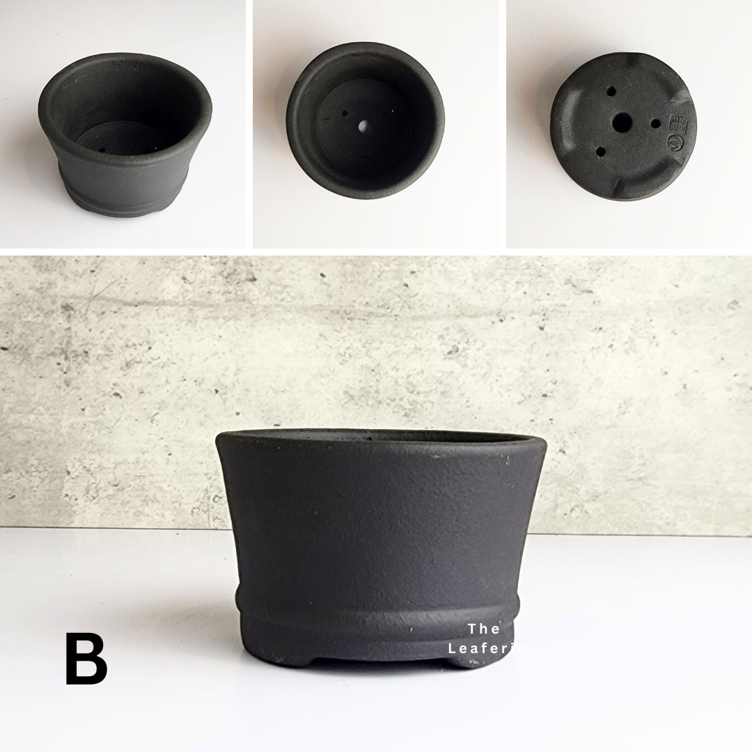 Bonsai Flowerpot (Series 31)