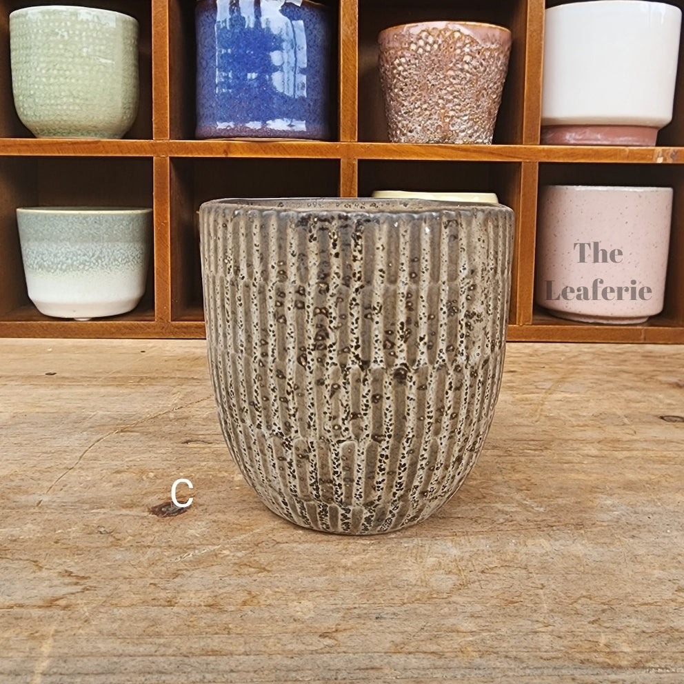 Petit Flowerpots (Series 8)