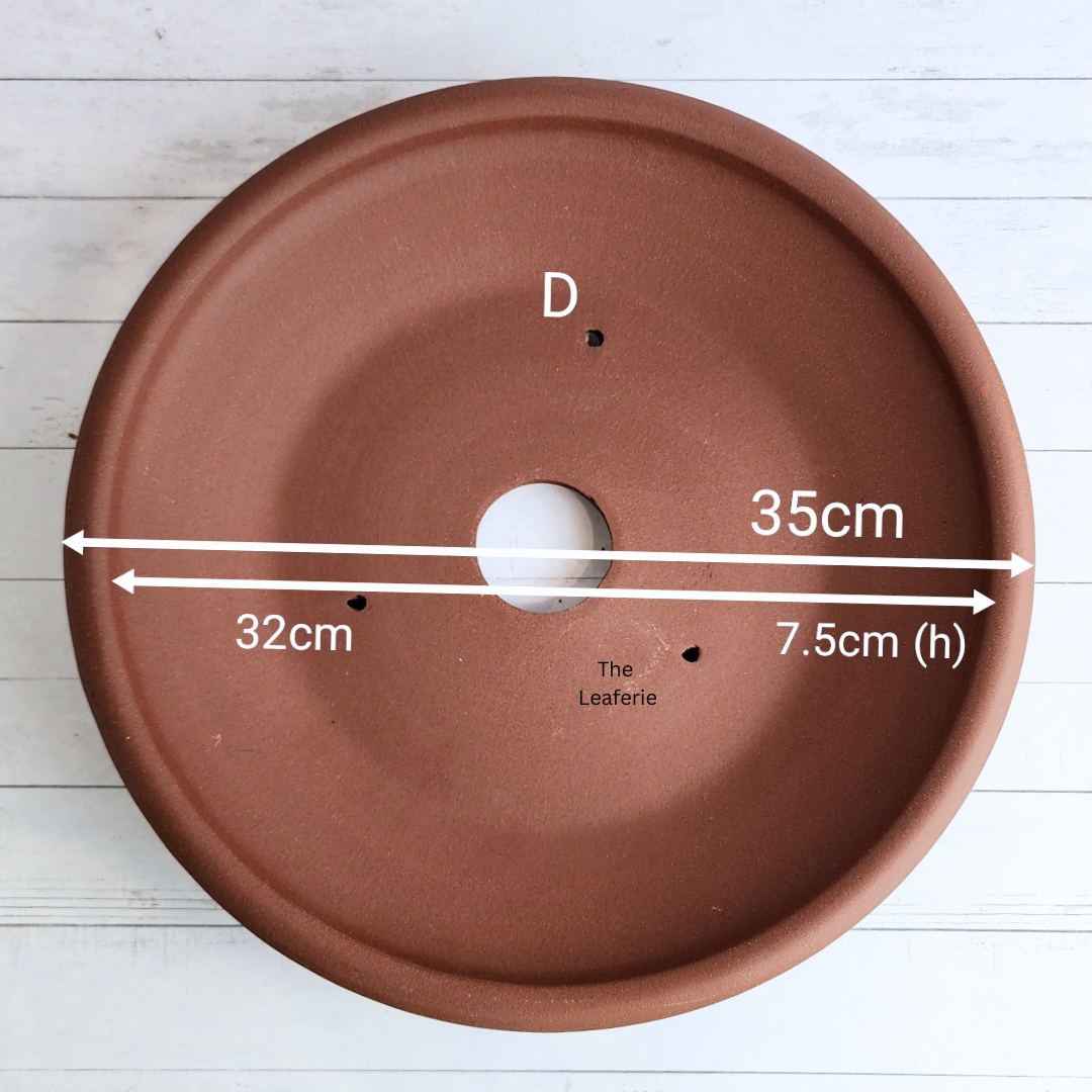 Bonsai Flowerpot / Tray (Series 5) 5 Sizes