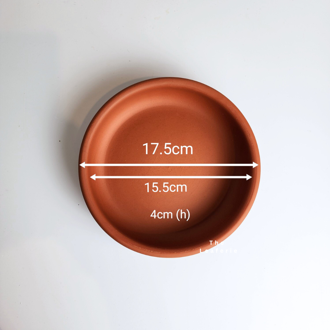 Zisha Deep Round Trays (6 sizes)