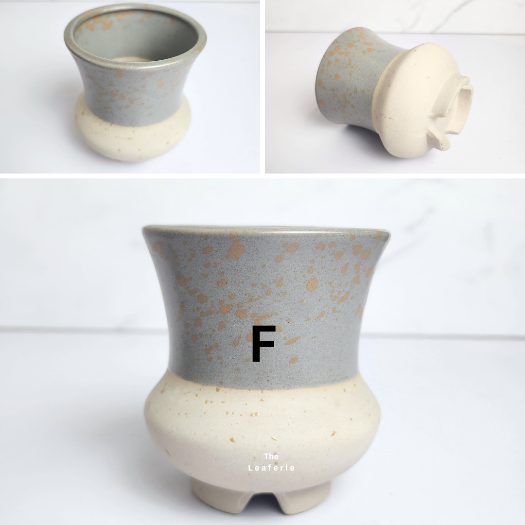 Petit Flowerpots (Series 14)