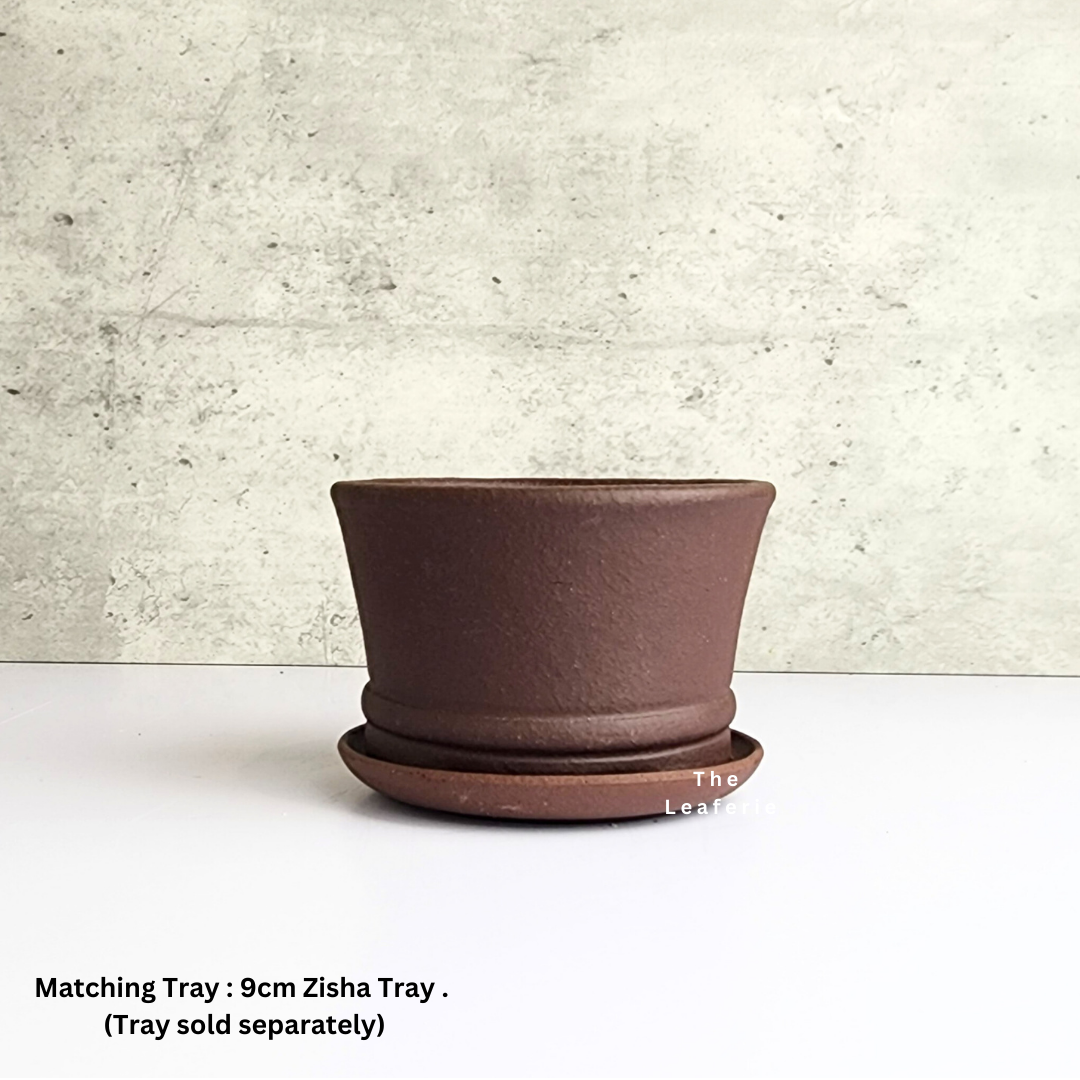 Bonsai Flowerpot (Series 31)