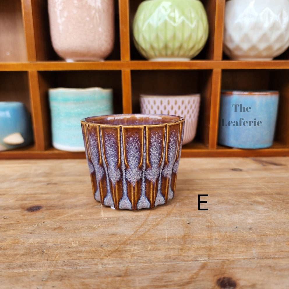 Petit Flowerpots (Series 6)