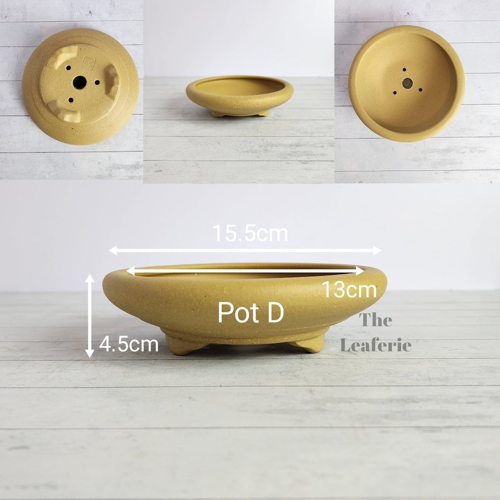 Petit Bonsai Tray / flowerpot (Series 4)