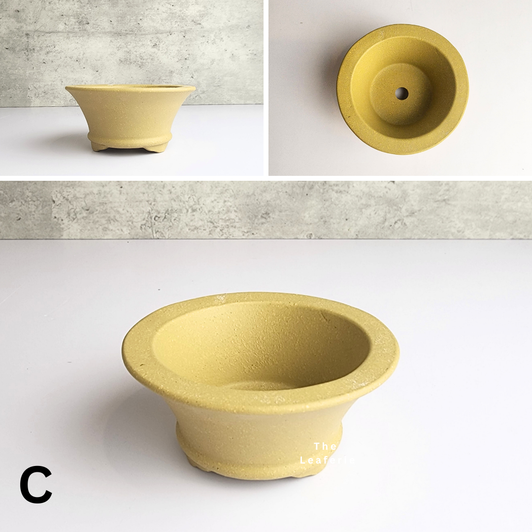 Bonsai Flowerpot (Series 34)
