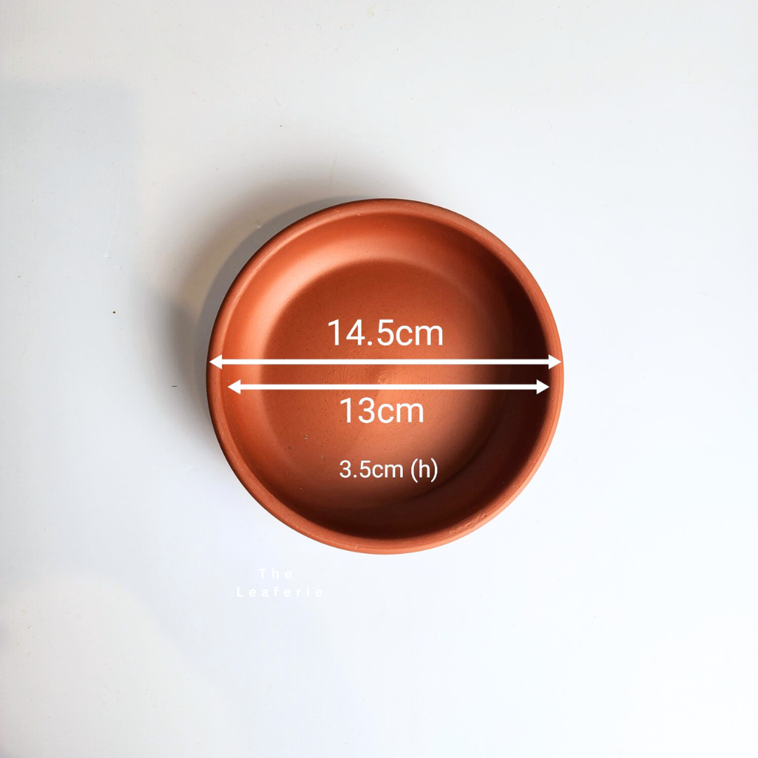 Zisha Deep Round Trays (6 sizes)