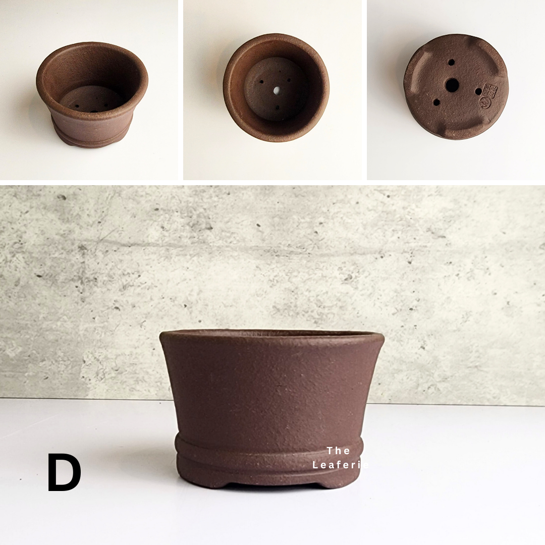Bonsai Flowerpot (Series 31)