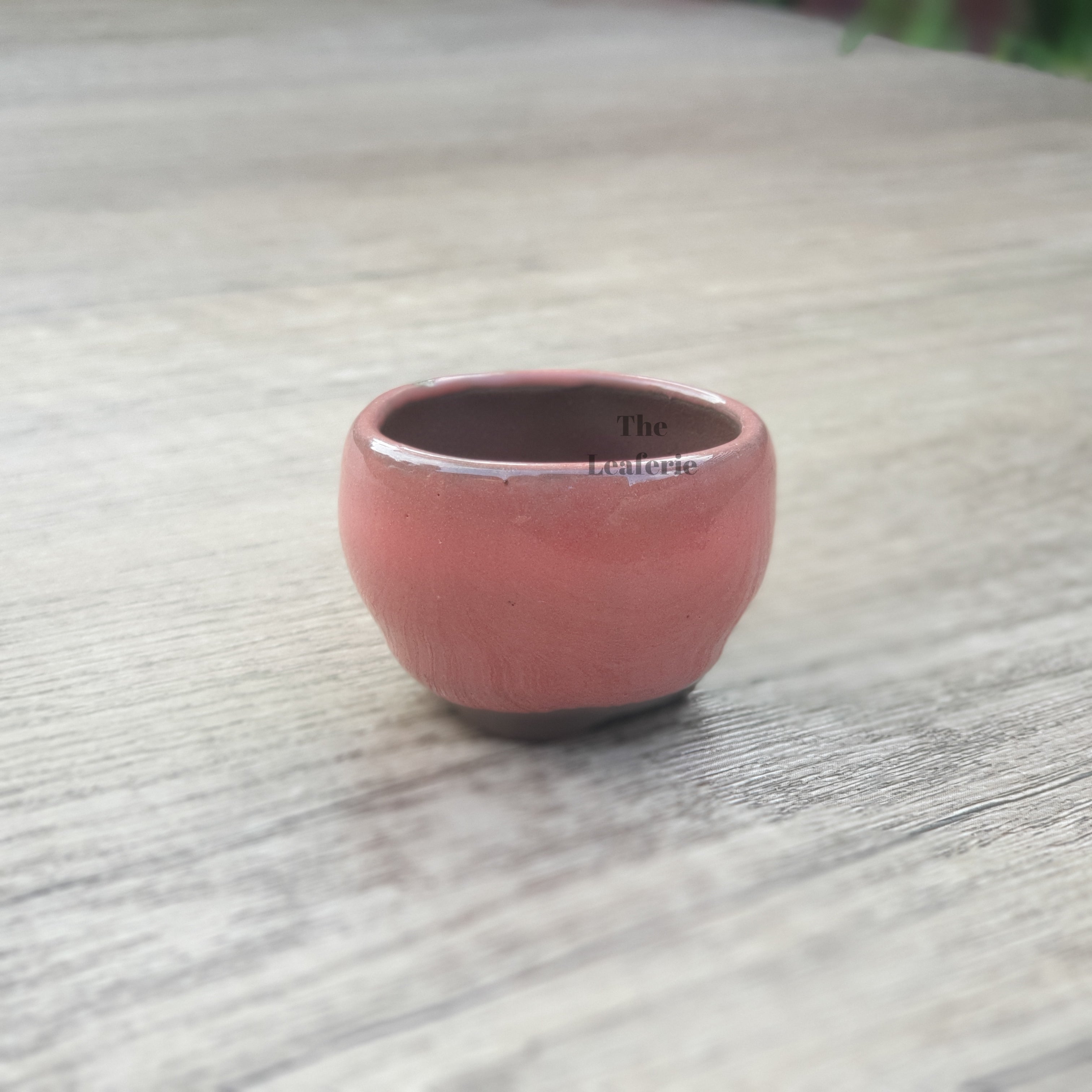 Petit Bonsai Pot (Series 8)