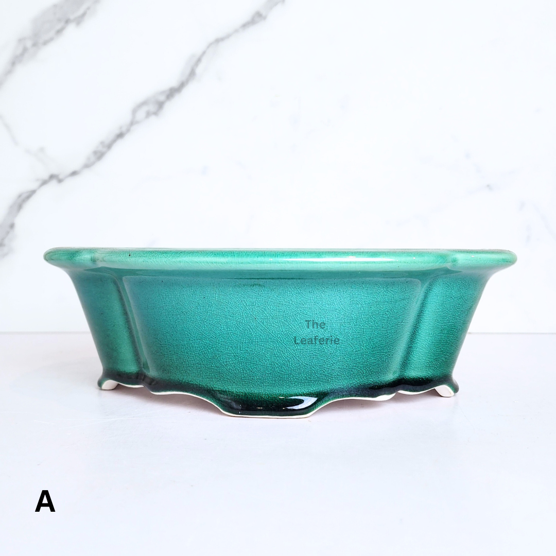 Bonsai Flowerpot (Series 65)
