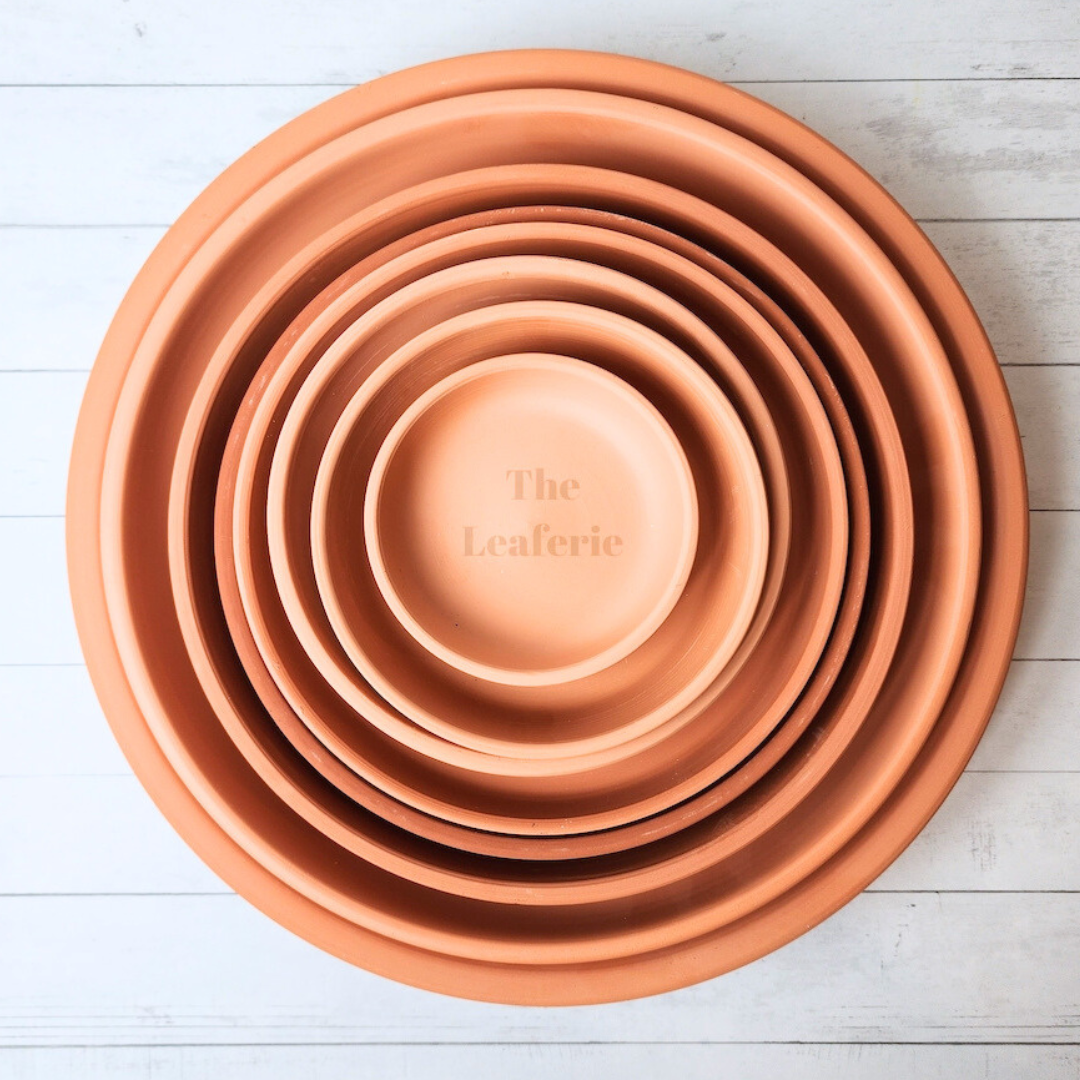 Terracotta Round Trays (7 Sizes)