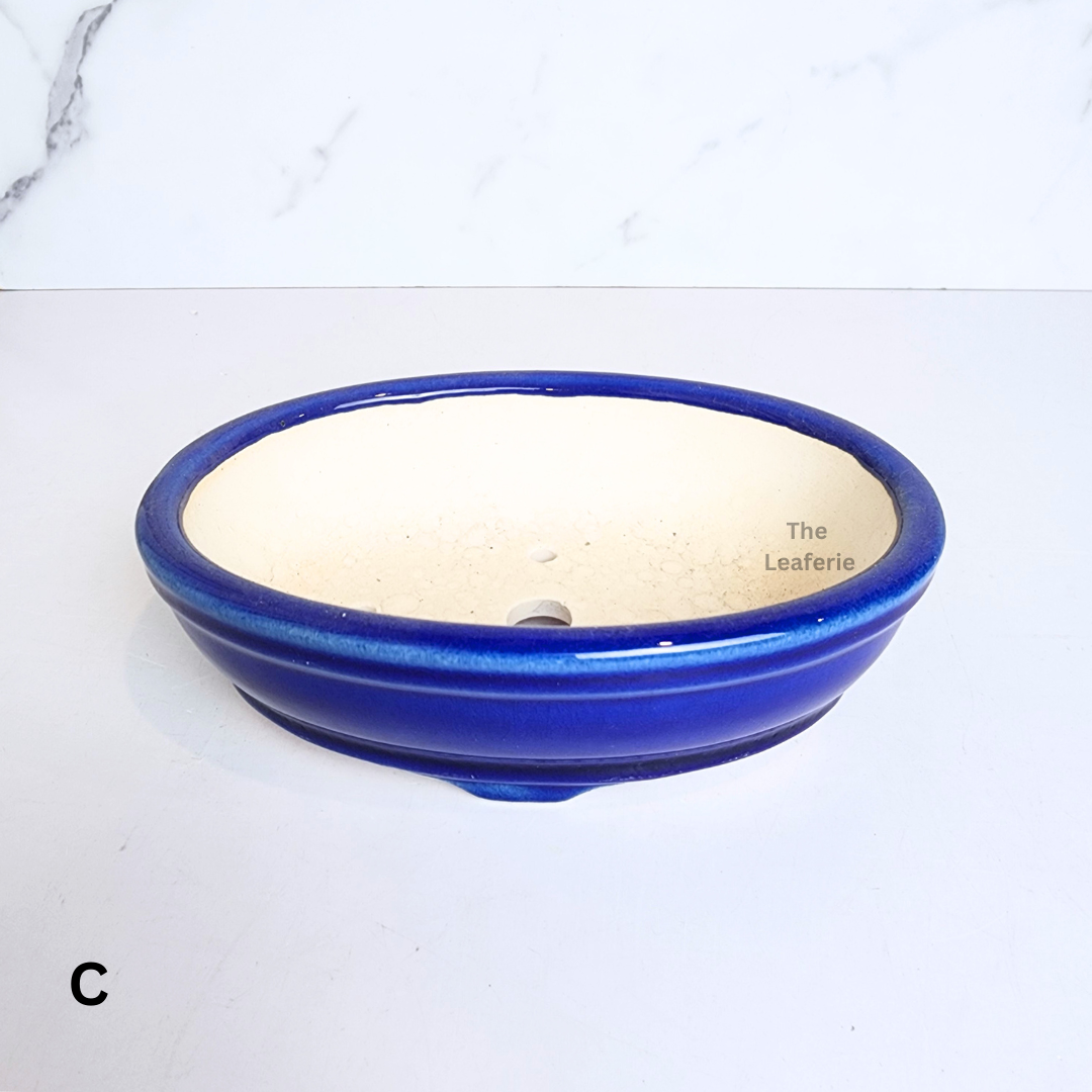 Bonsai Flowerpot (Series 63) Oval