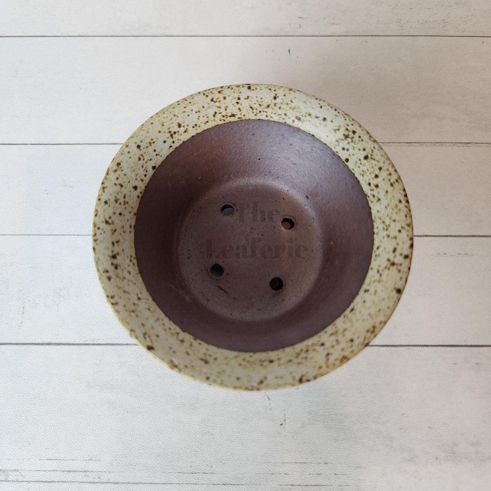 Petit Bonsai Pot (Series 12)