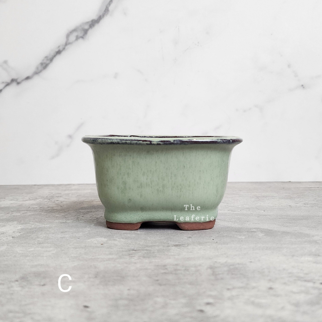 Bonsai Flowerpot (Series 24)