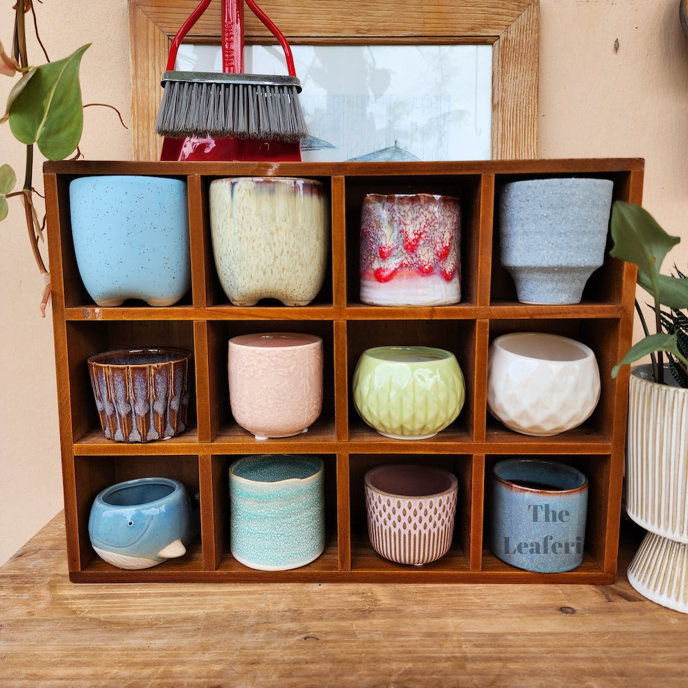 Petit Flowerpots (Series 6)