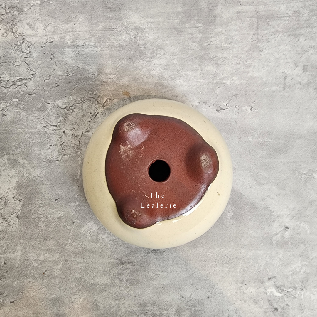 Bonsai Flowerpot (Series 25)