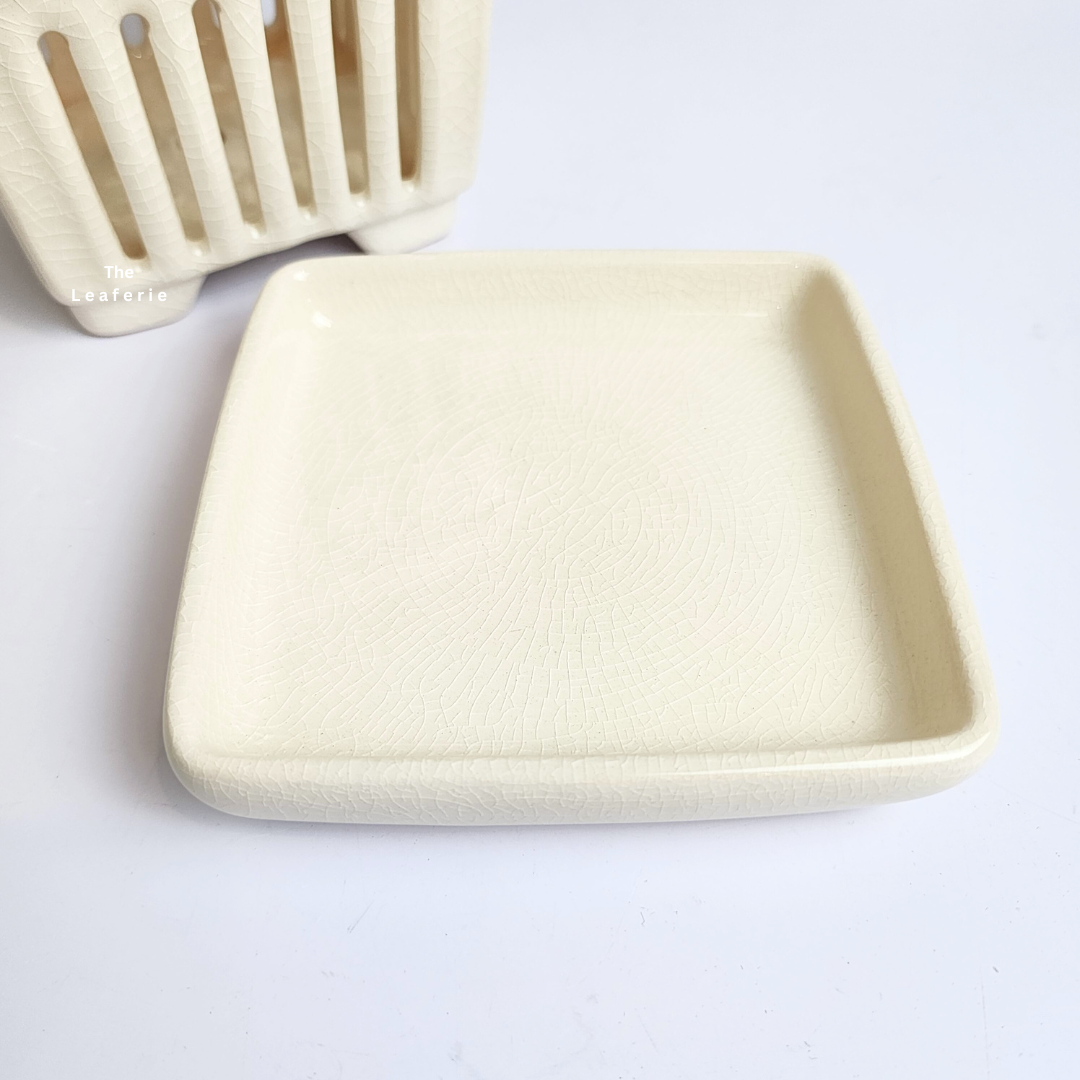 Leia Orchid Flowerpot with Tray (Series 2)