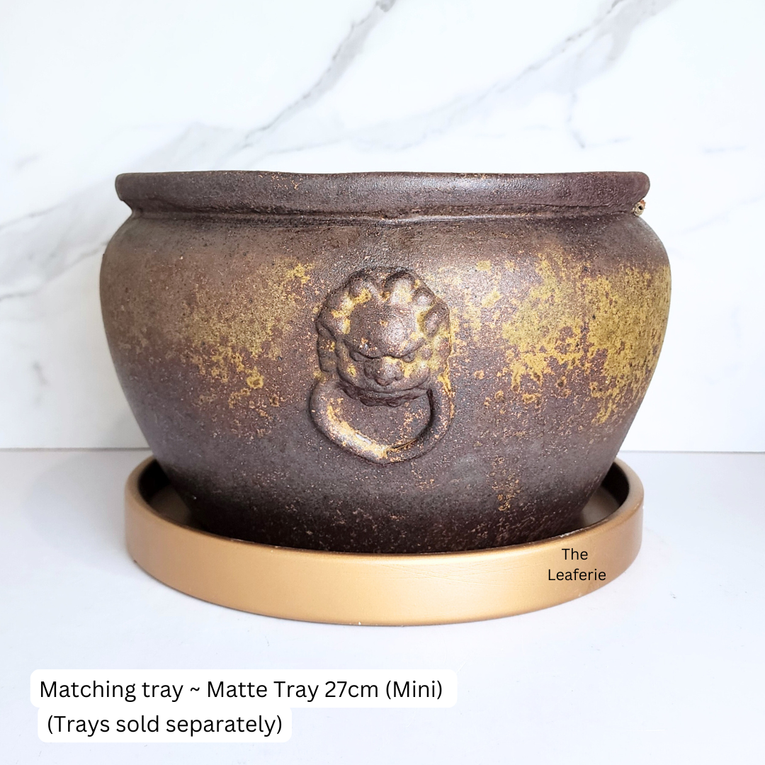 Lorelei Flowerpot (Suitable for Fish Bowl)