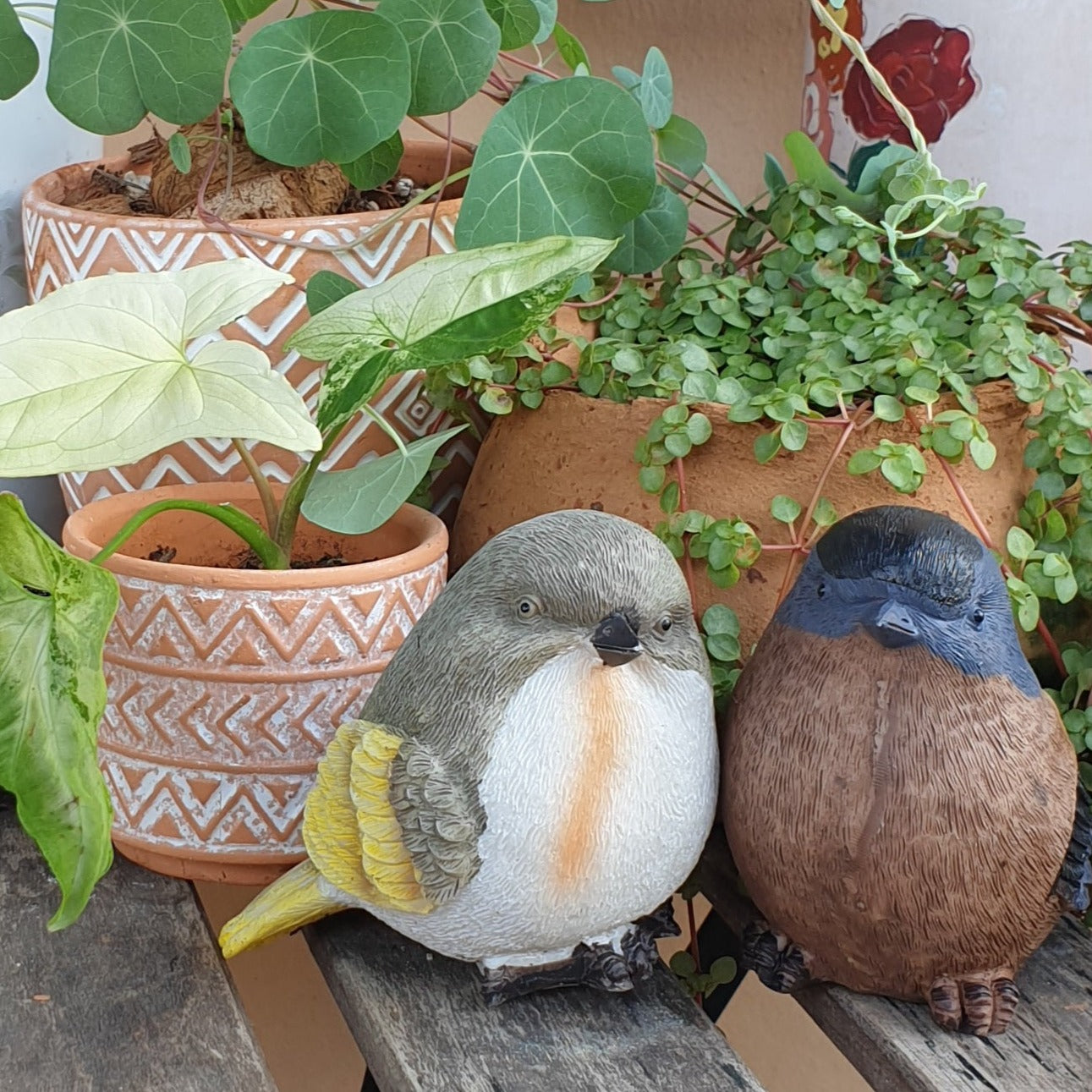 Birds Garden Decorations (Set of 6 birds)