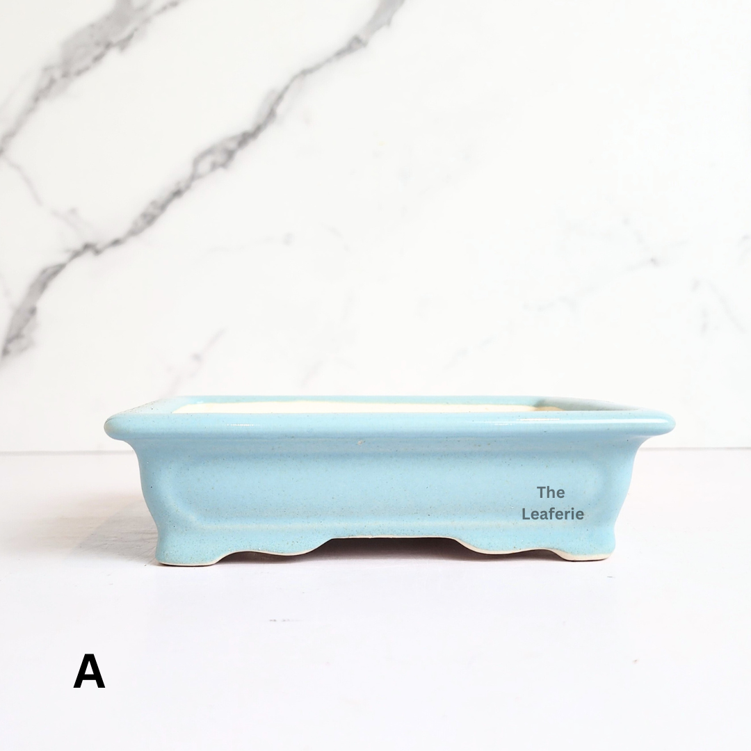Bonsai Flowerpot (Series 67) Rectangular