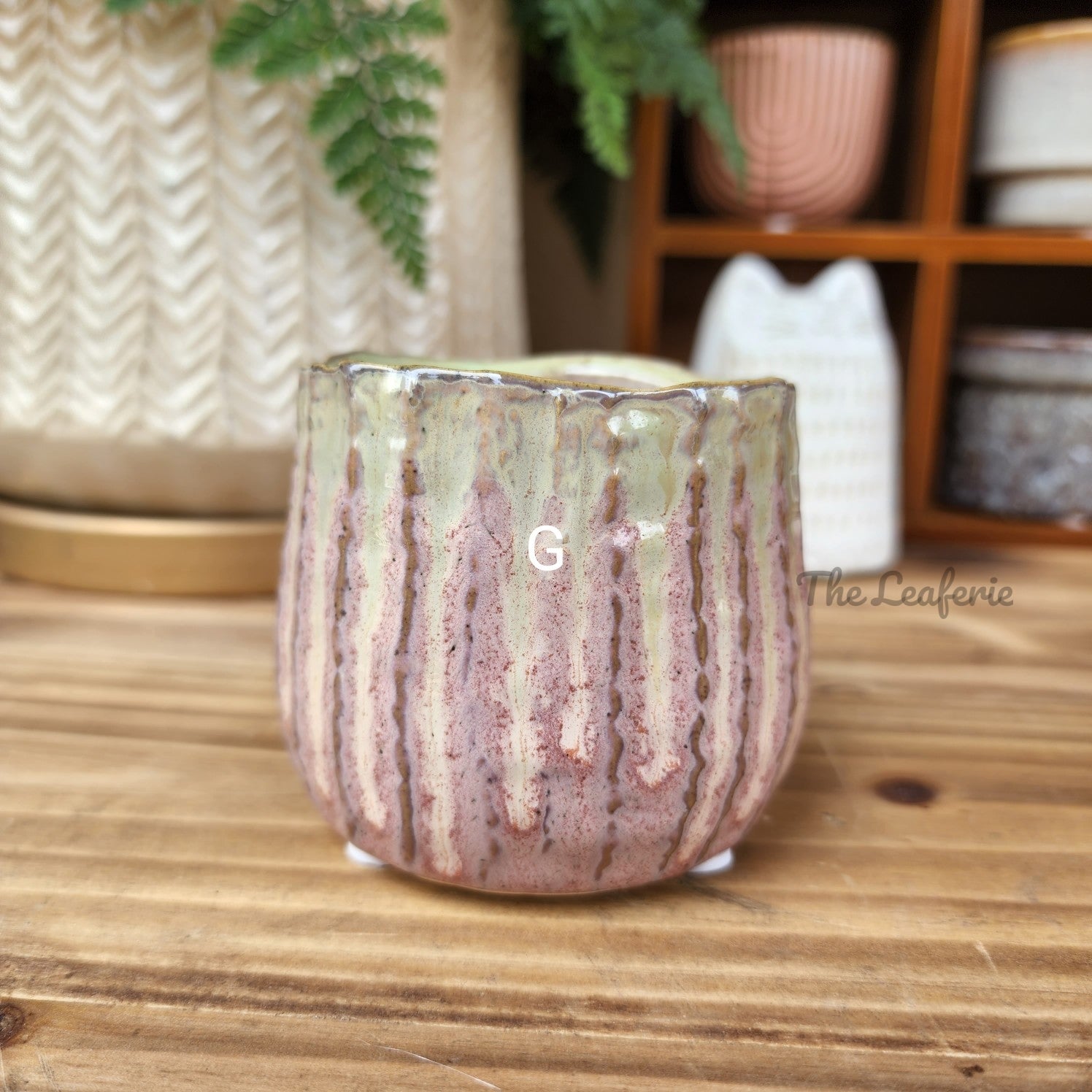 Petit Flowerpots (Series 5)