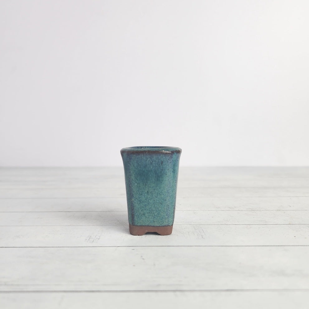 Petit Bonsai Pot (Series 5)