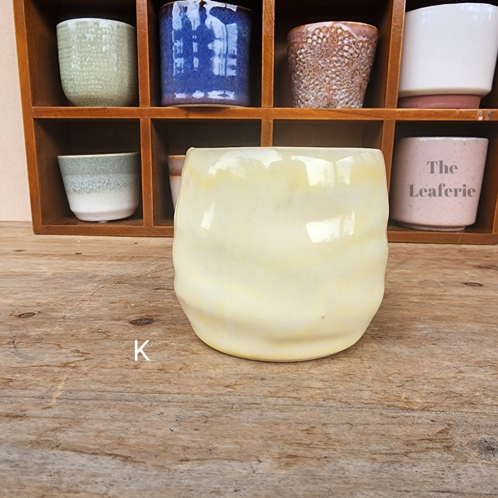 Petit Flowerpots (Series 8)