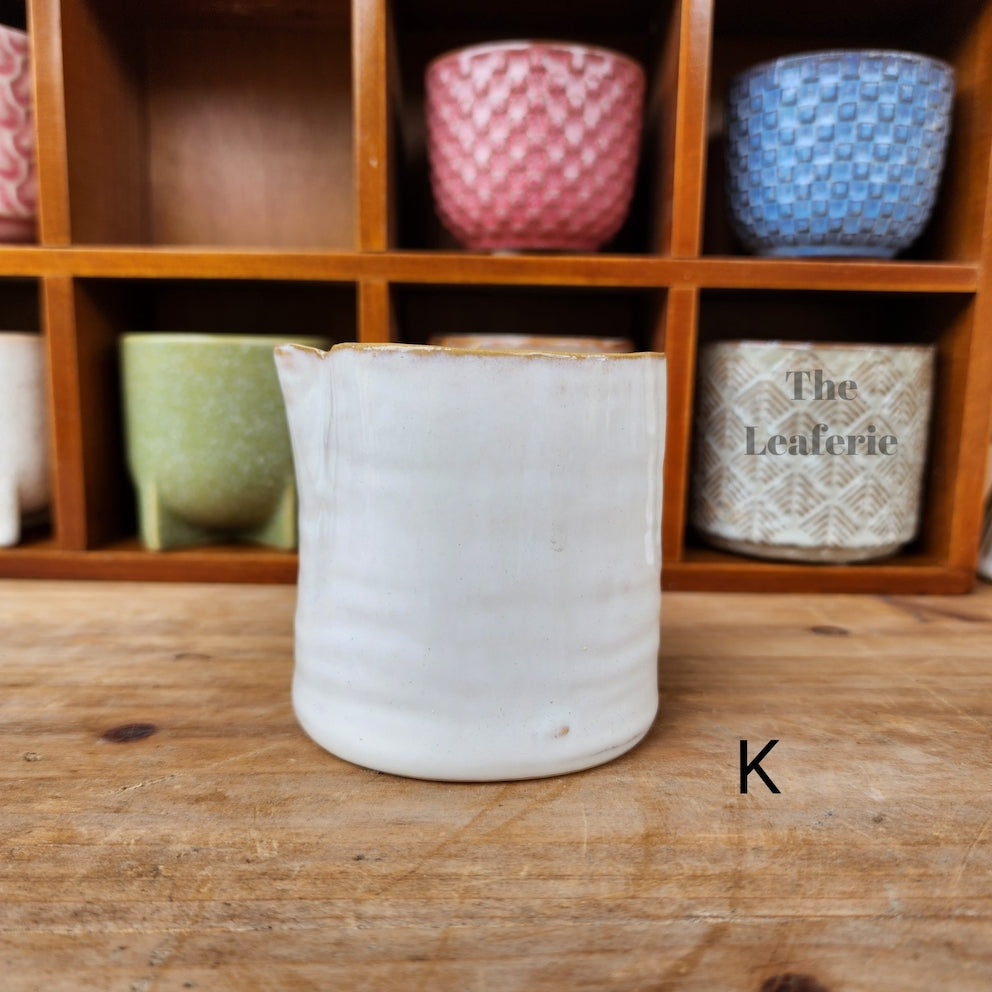 Petit Flowerpots (Series 7)