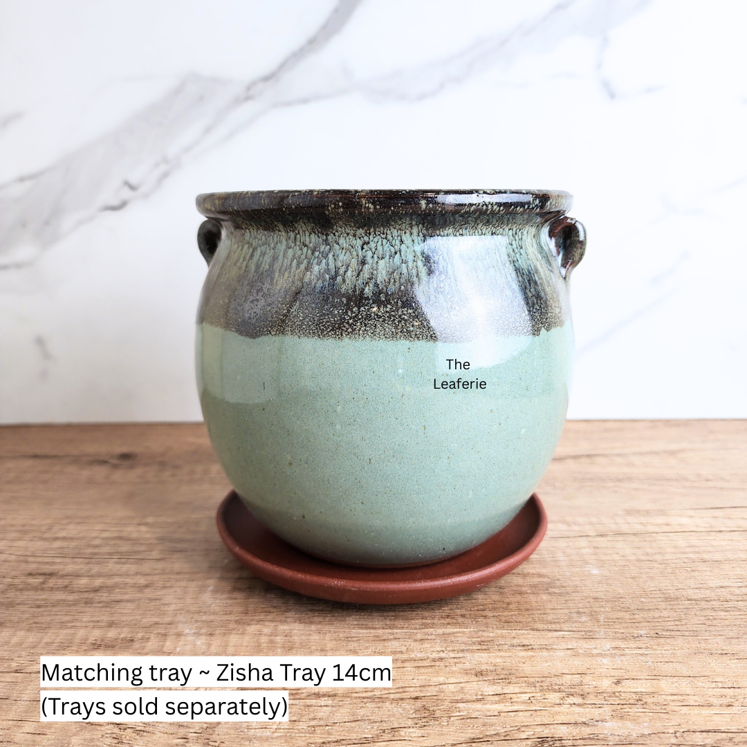 Sanrevelle Flowerpot (5 colours)