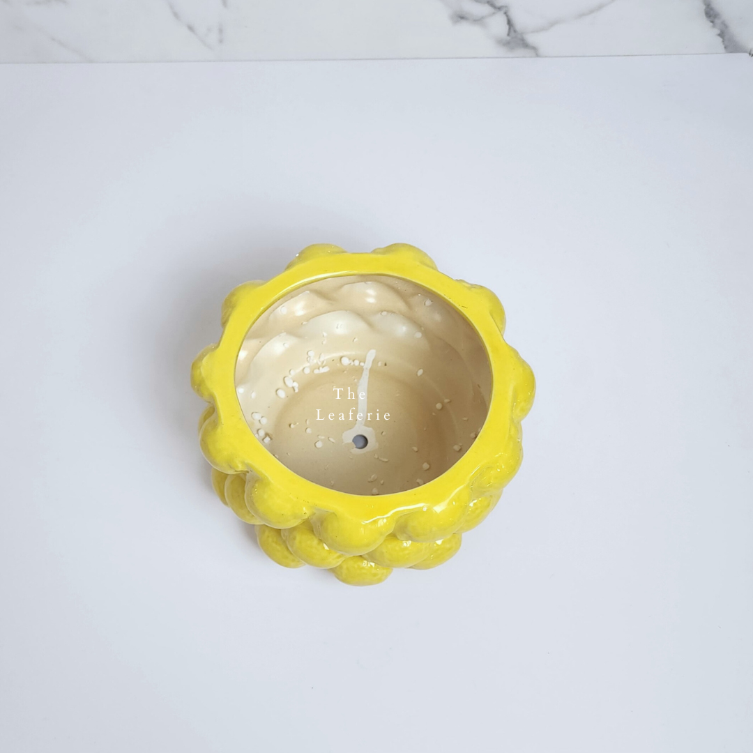 Saburo Lemon Flowerpot