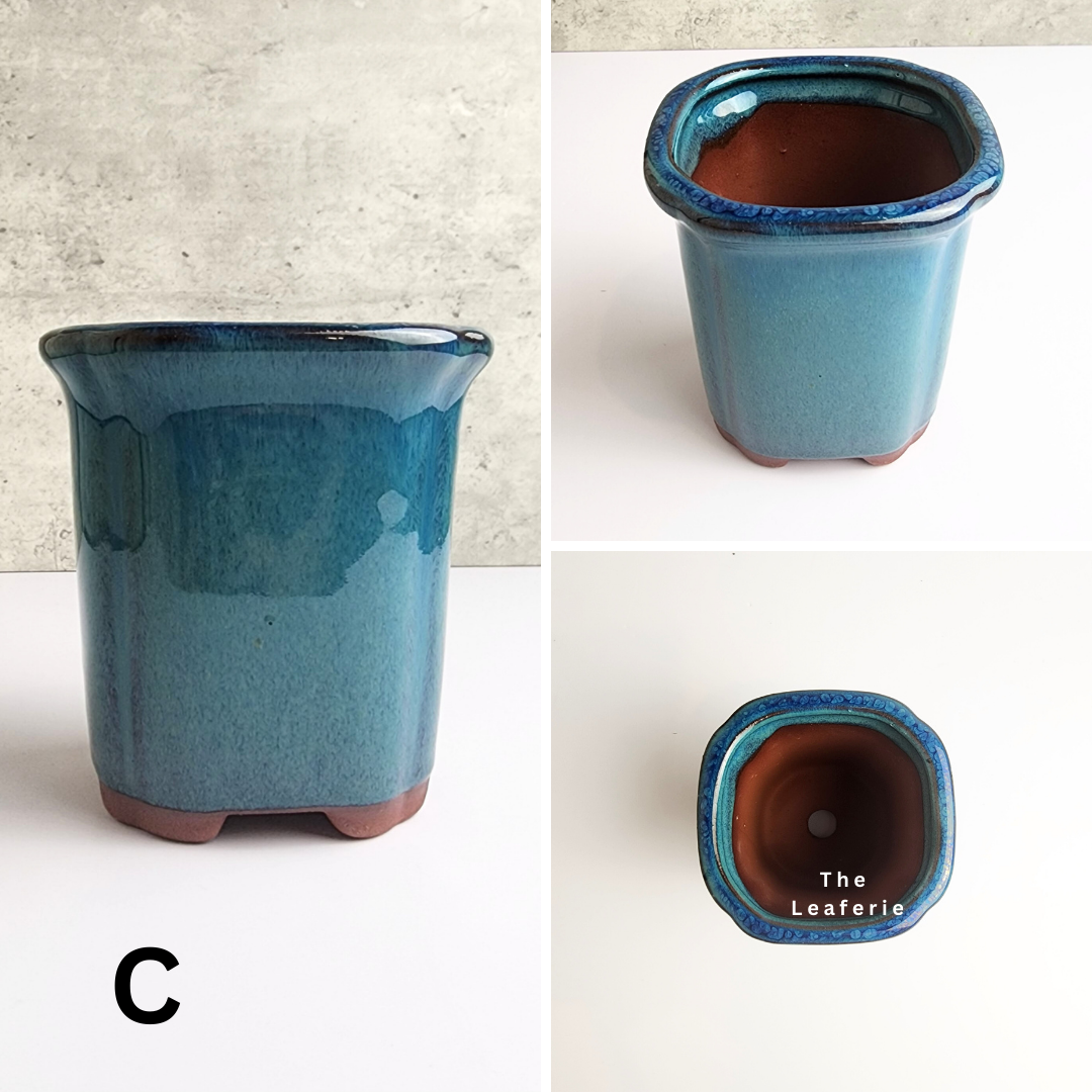 Bonsai Flowerpot (Series 26) Blue Theme