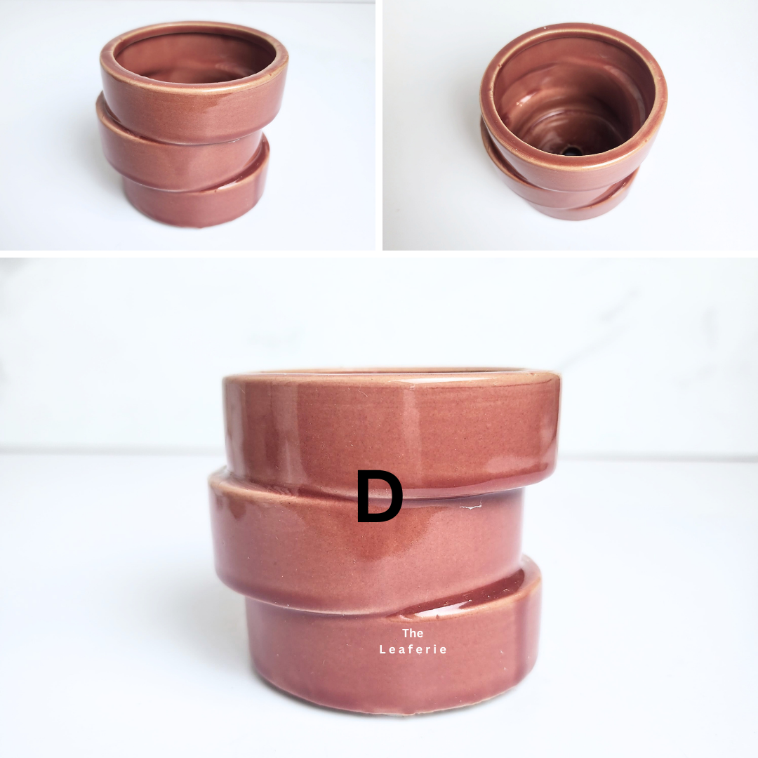 Petit Flowerpots (Series 17)