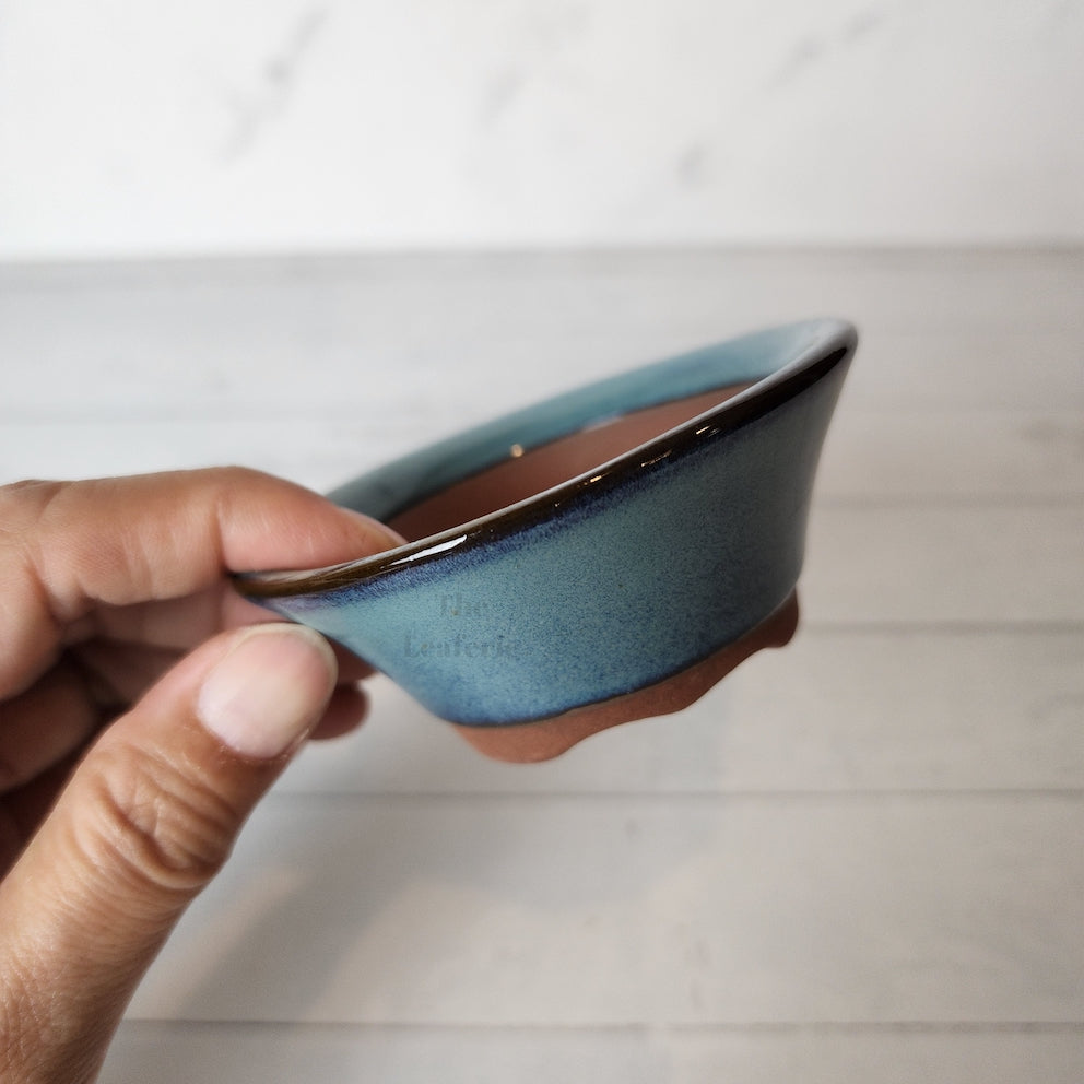 Petit Bonsai Pot (Series 12)