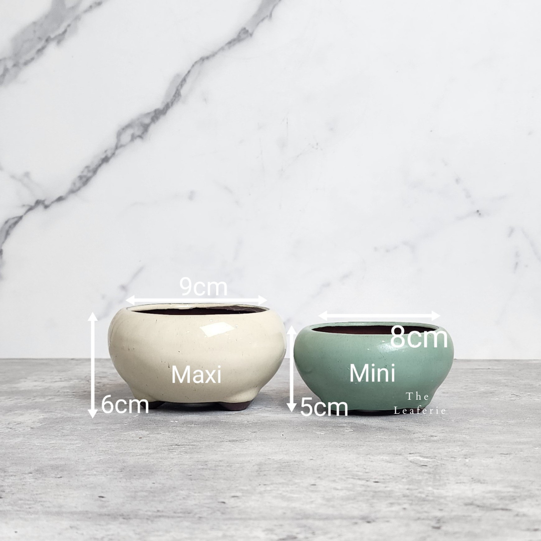 Bonsai Flowerpot (Series 25)